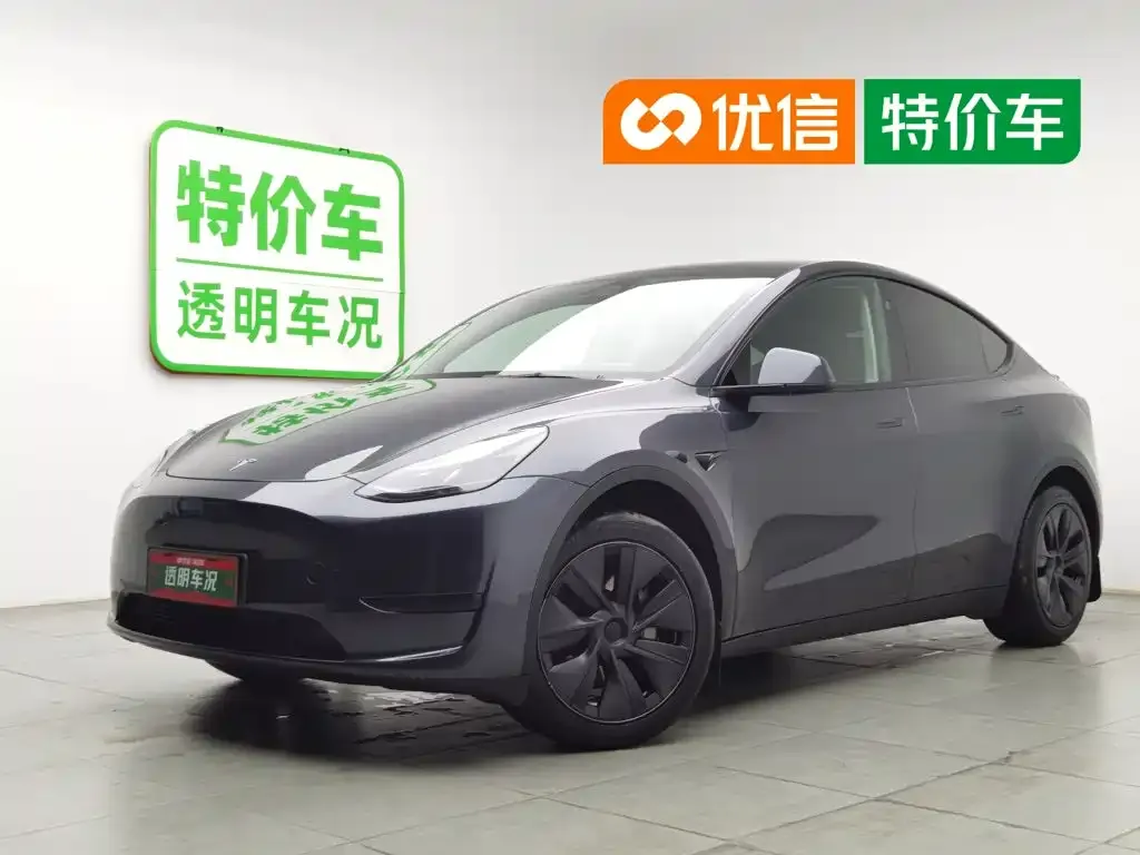 Tesla Model Y — фото 1