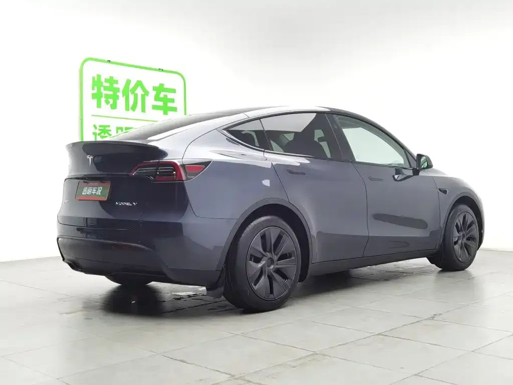 Tesla Model Y — фото 6