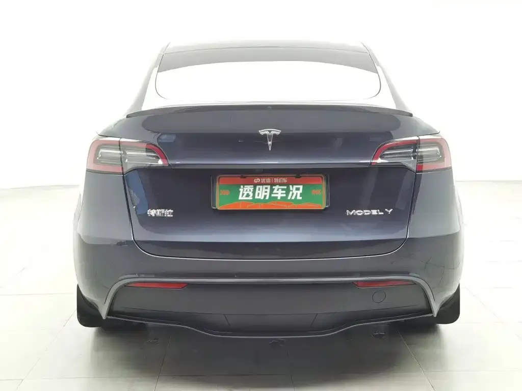 Tesla Model Y — фото 4