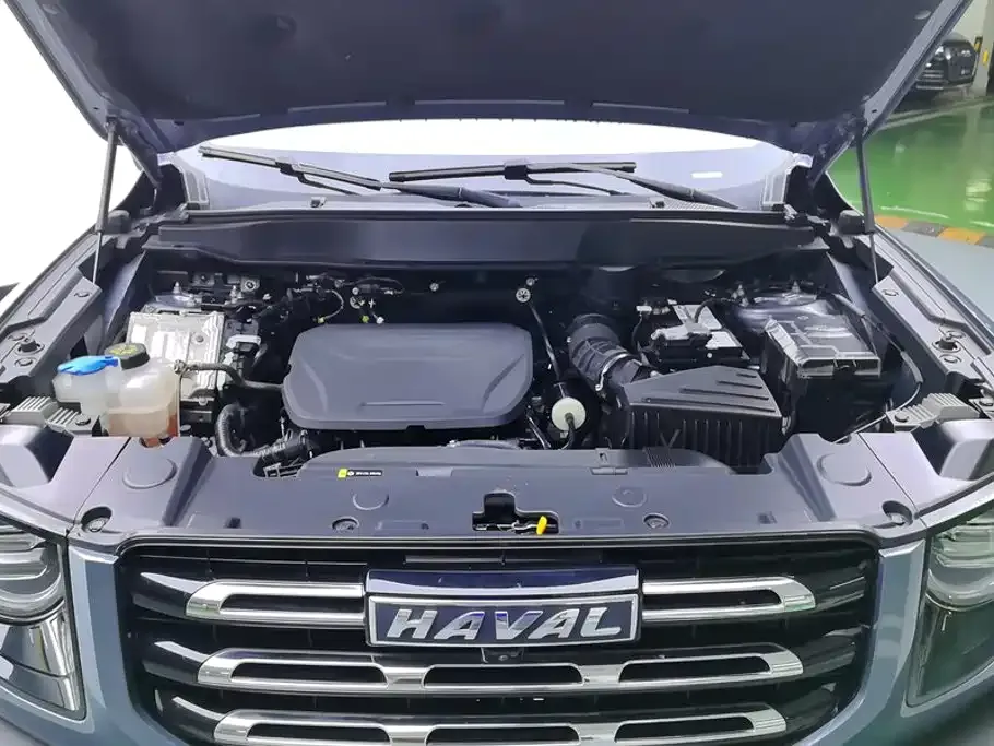 Haval Big Dog — фото 10