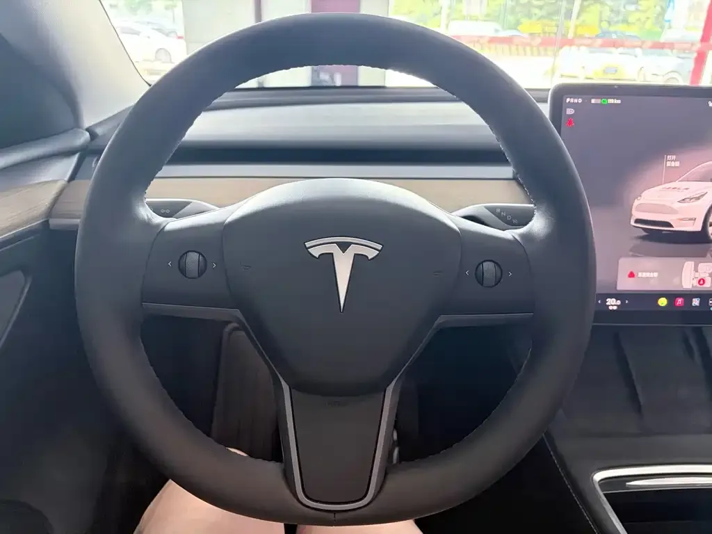 Tesla Model Y — фото 2