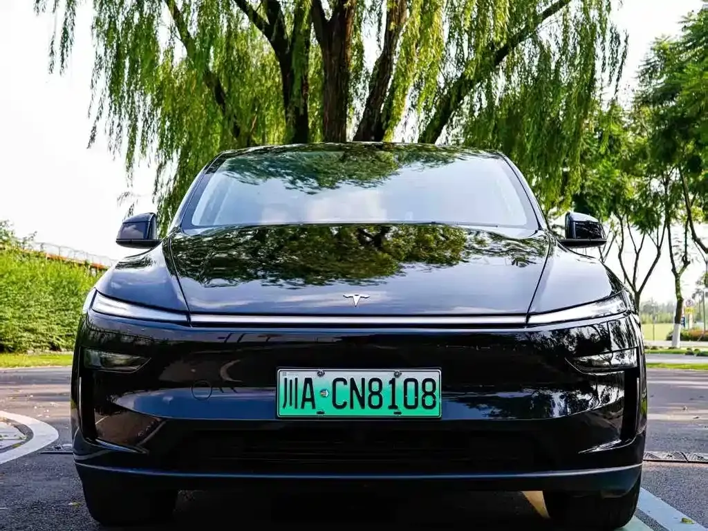 Tesla Model Y — фото 10
