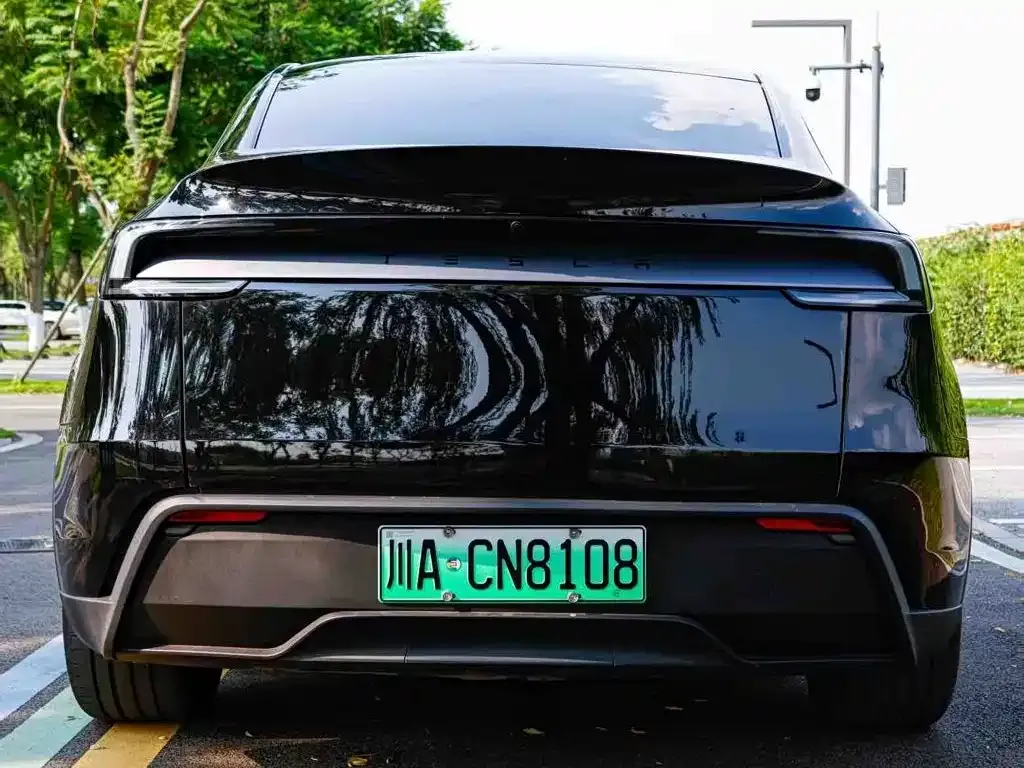 Tesla Model Y — фото 9