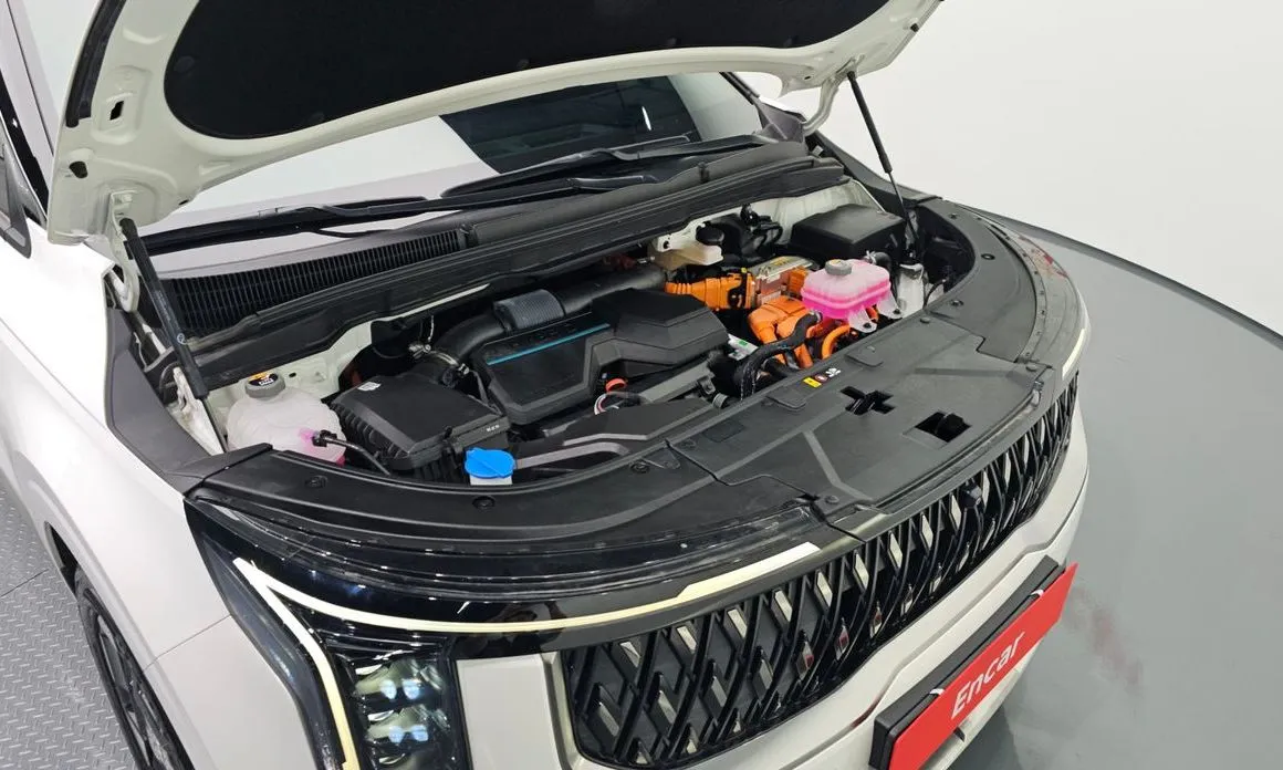 Kia Carnival — фото 10