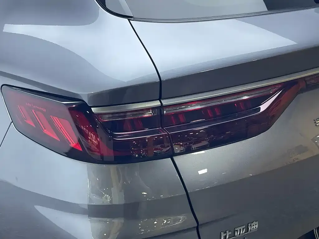 BYD PLUS New Energy — фото 4