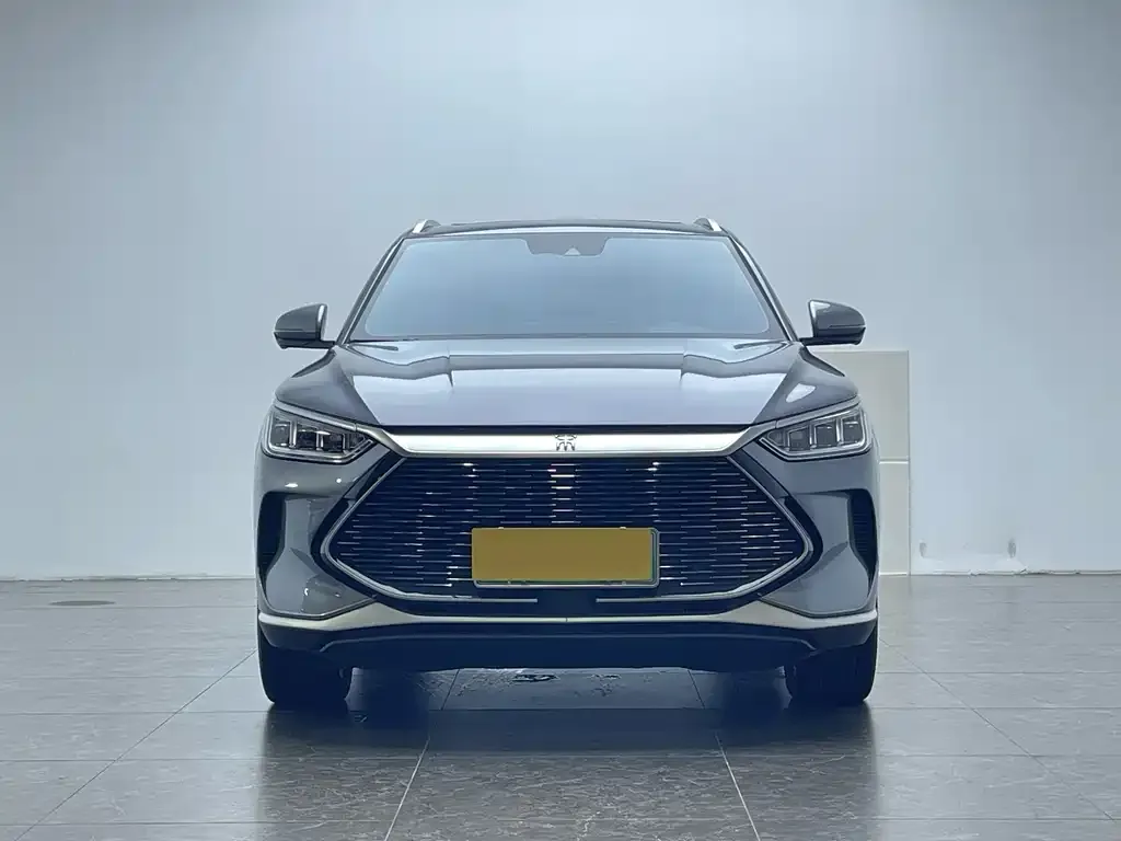 BYD PLUS New Energy — фото 2