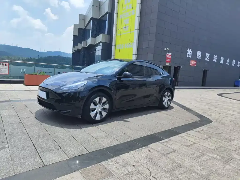 Tesla Model Y — фото 1