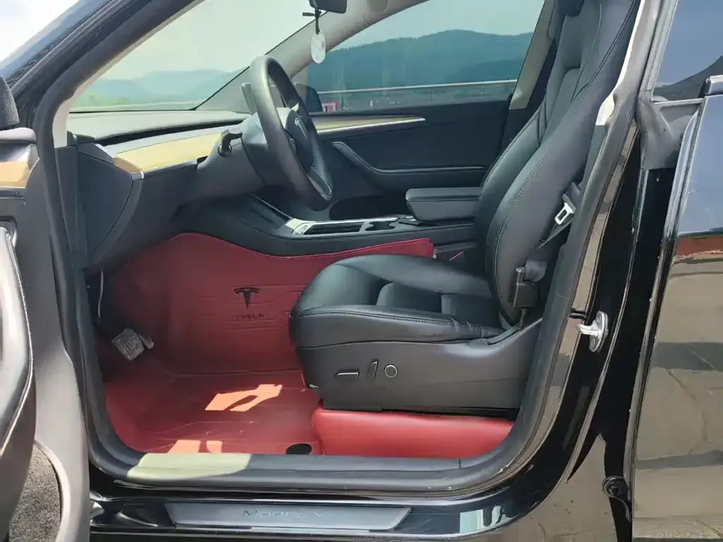 Tesla Model Y — фото 10