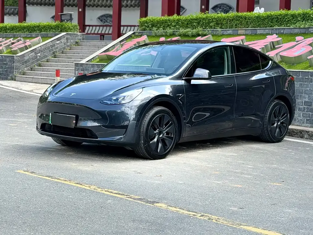 Tesla Model Y — фото 1