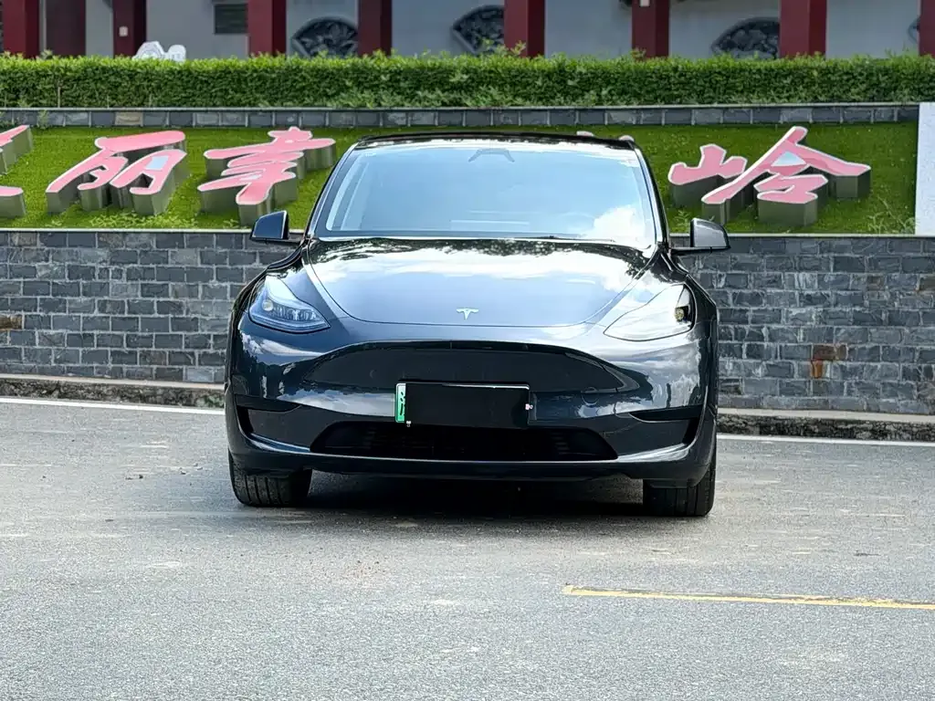 Tesla Model Y — фото 4