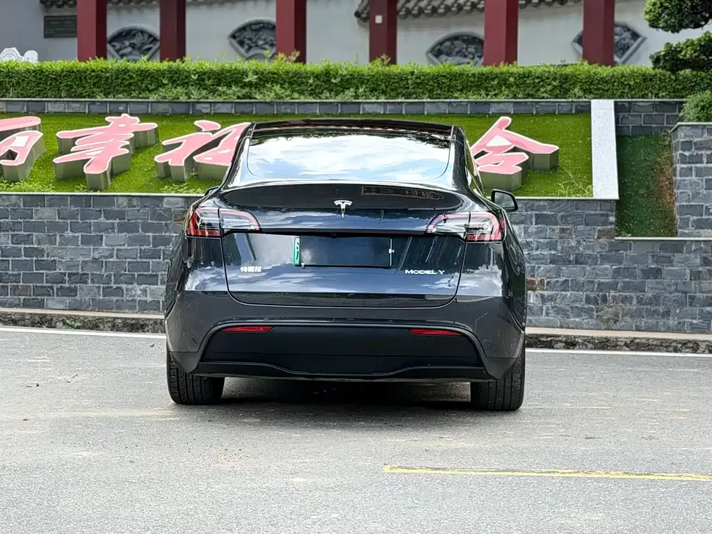 Tesla Model Y — фото 6
