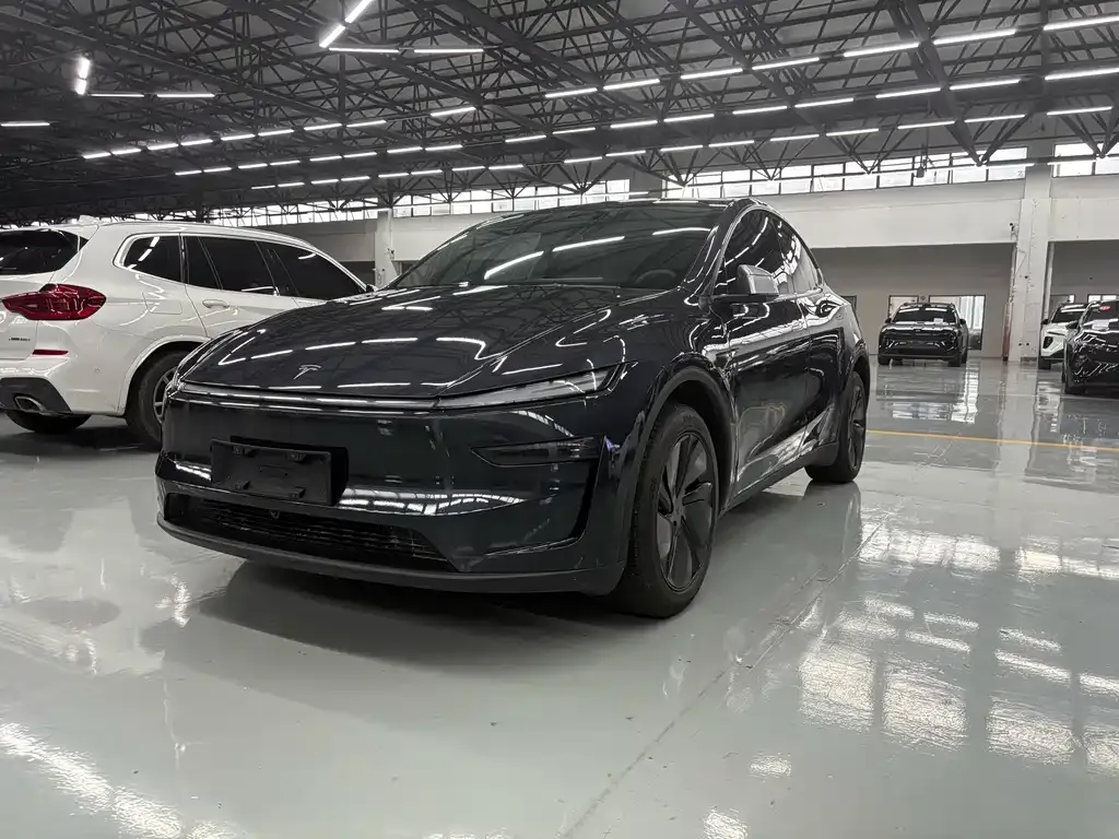 Tesla Model Y — фото 1