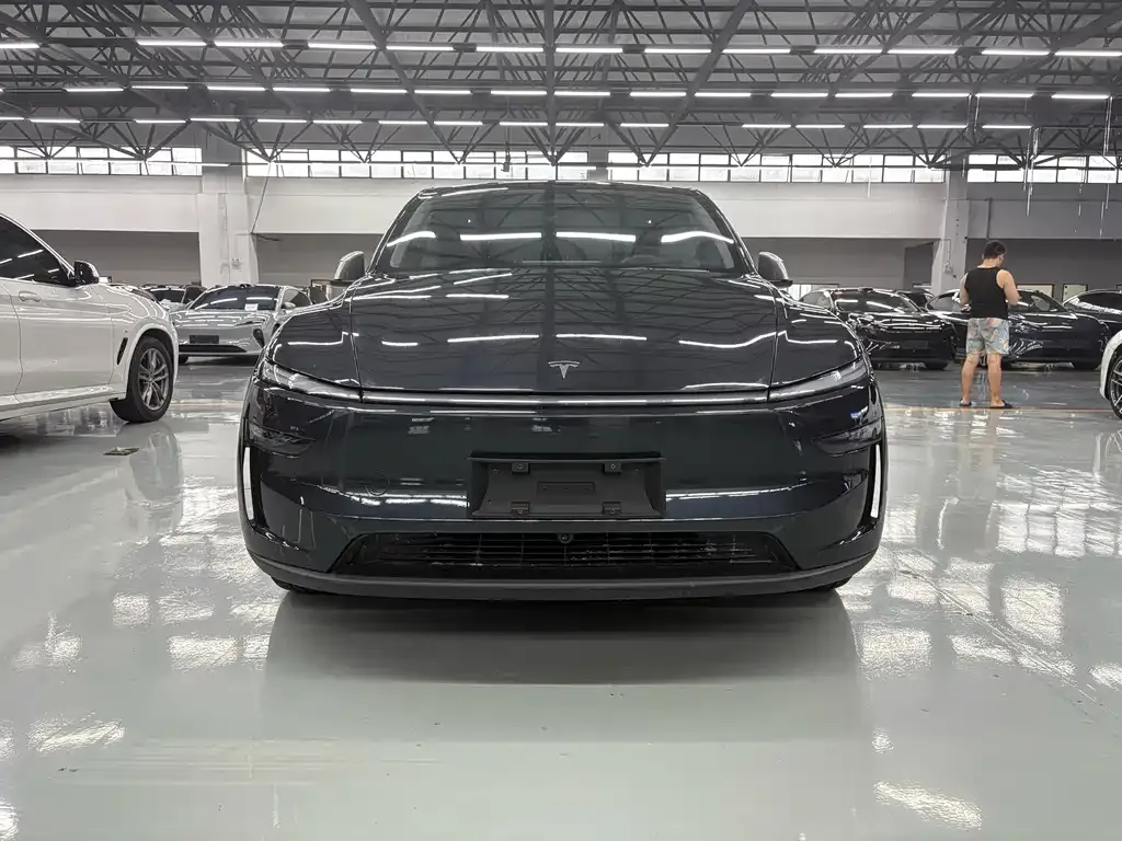 Tesla Model Y — фото 3