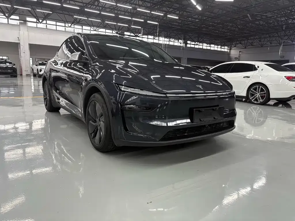 Tesla Model Y — фото 6
