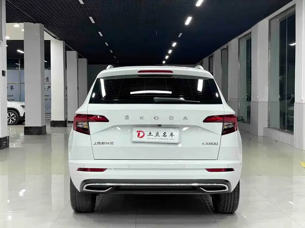 Skoda Karoq — фото 6
