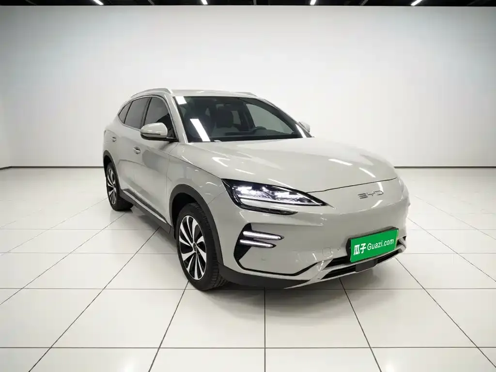BYD PLUS New Energy — фото 7
