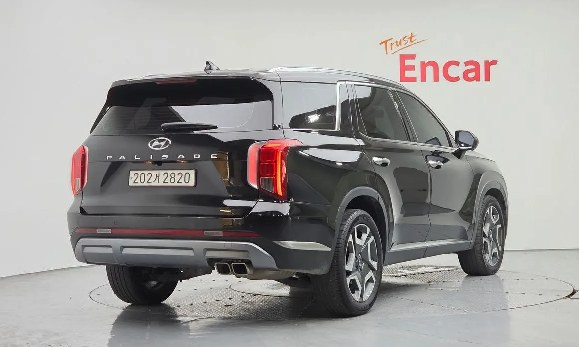Hyundai Palisade — фото 6