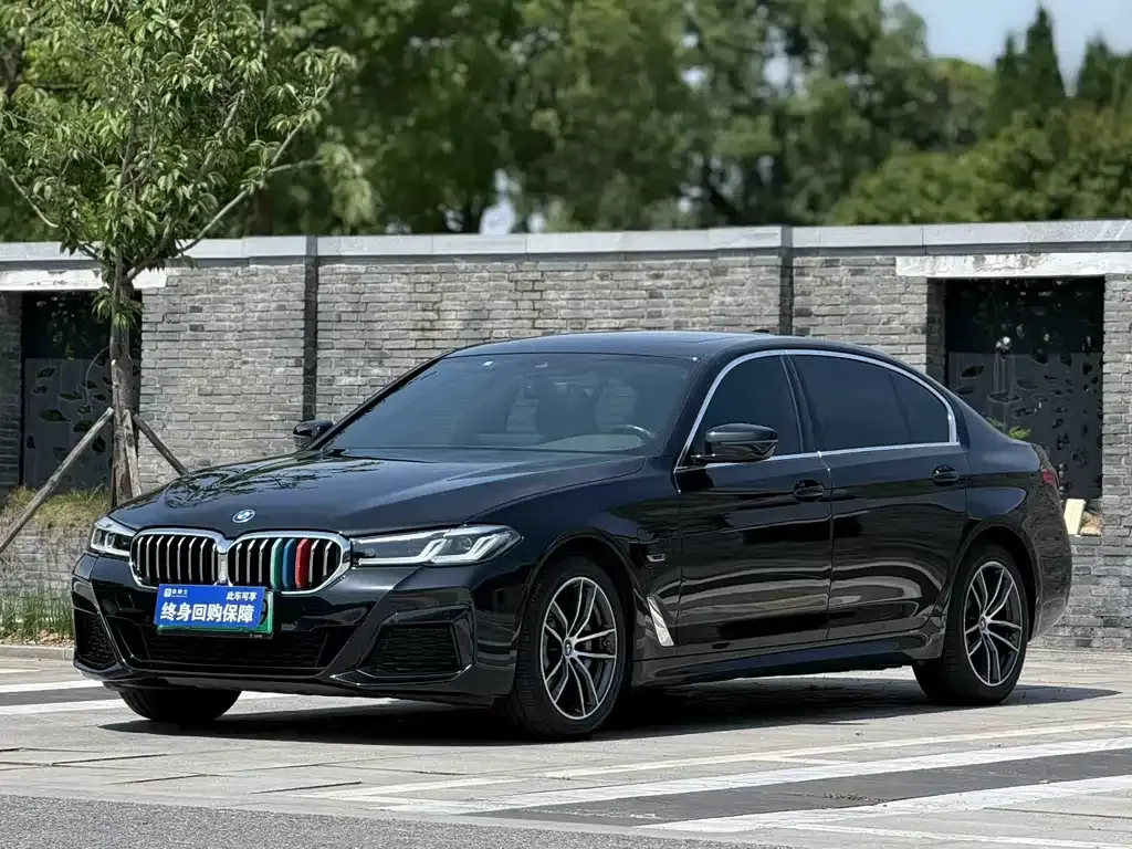 BMW 5 Series New Energy