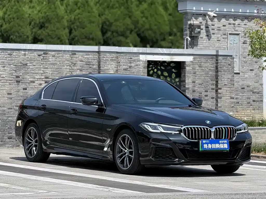 BMW 5 Series New Energy 2022 из CN, фото 2