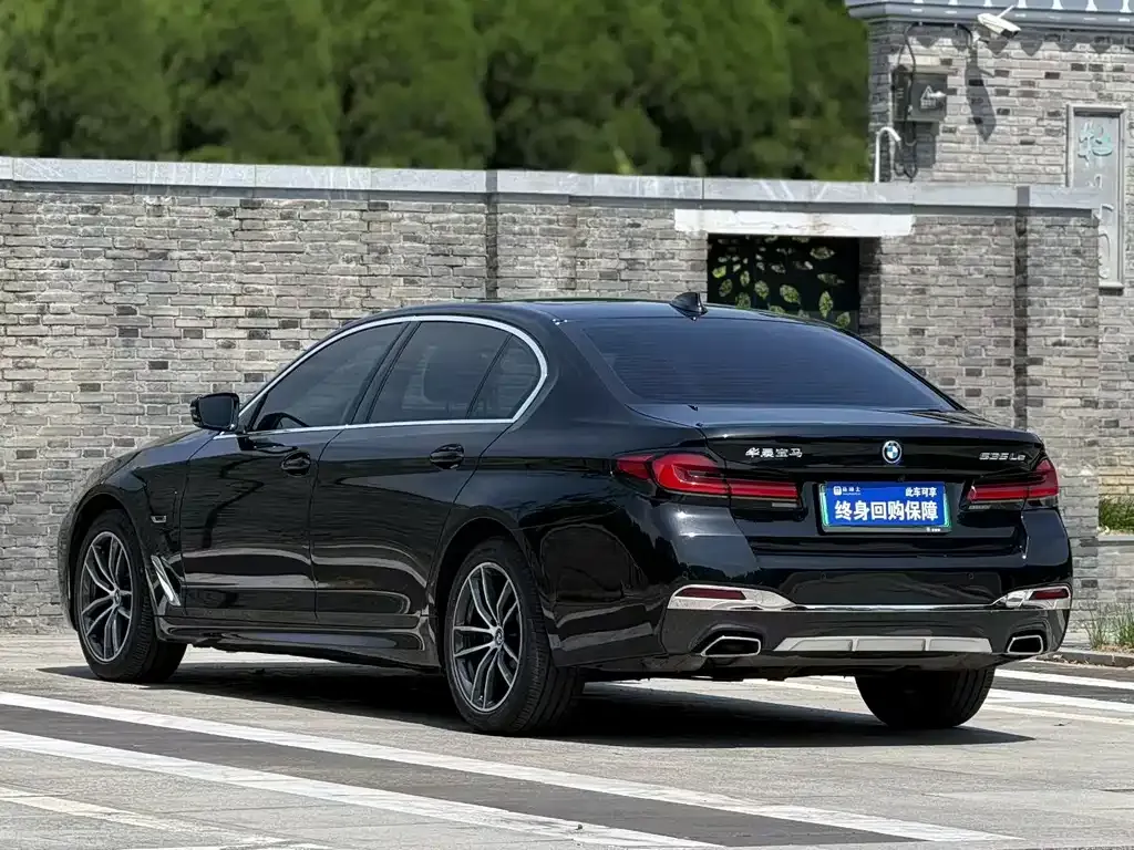 BMW 5 Series New Energy 2022 из CN, фото 3