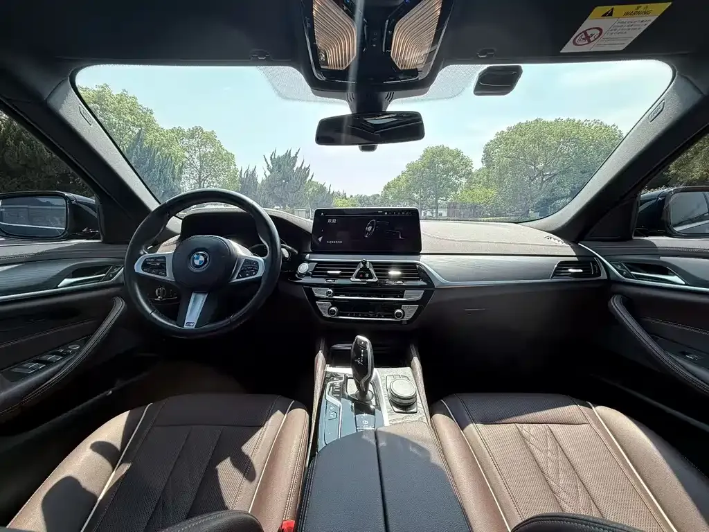 BMW 5 Series New Energy 2022 из CN, фото 6