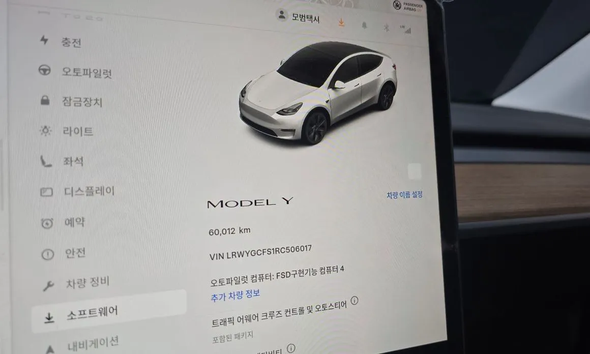 Tesla Model Y — фото 9