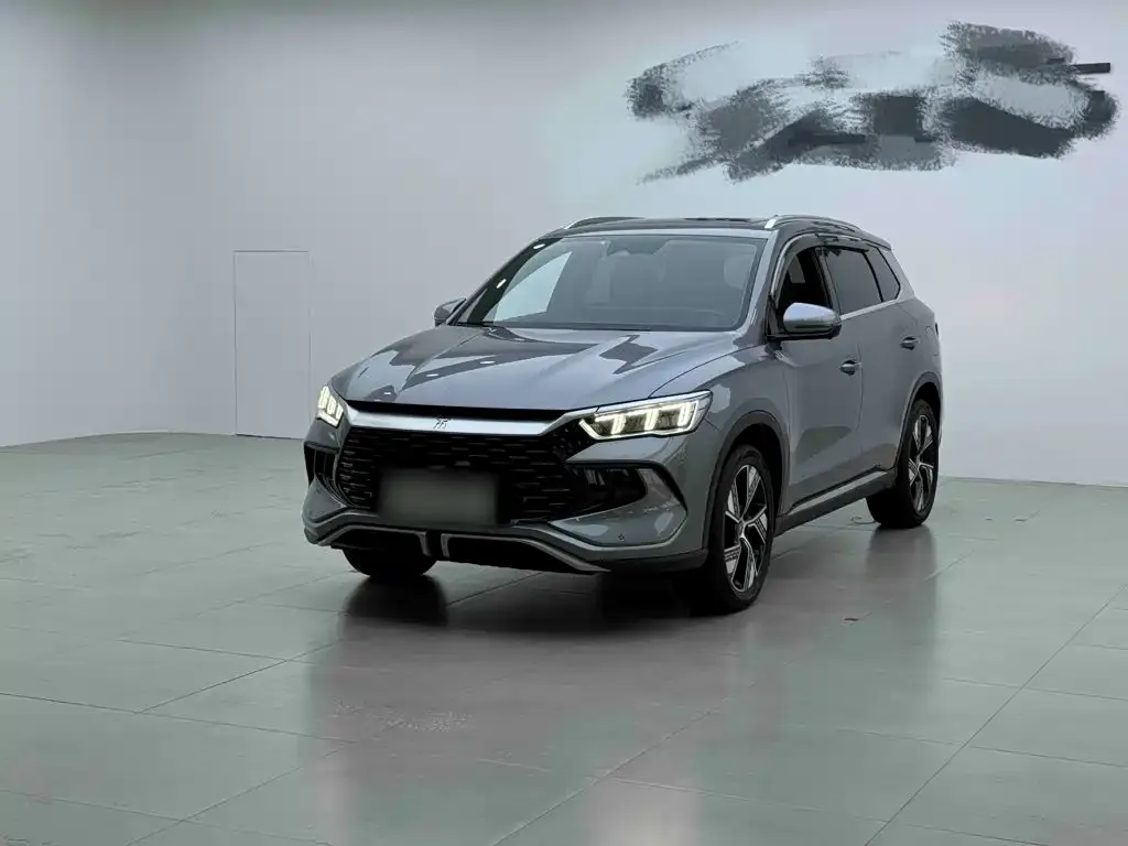 BYD Pro New Energy — фото 1