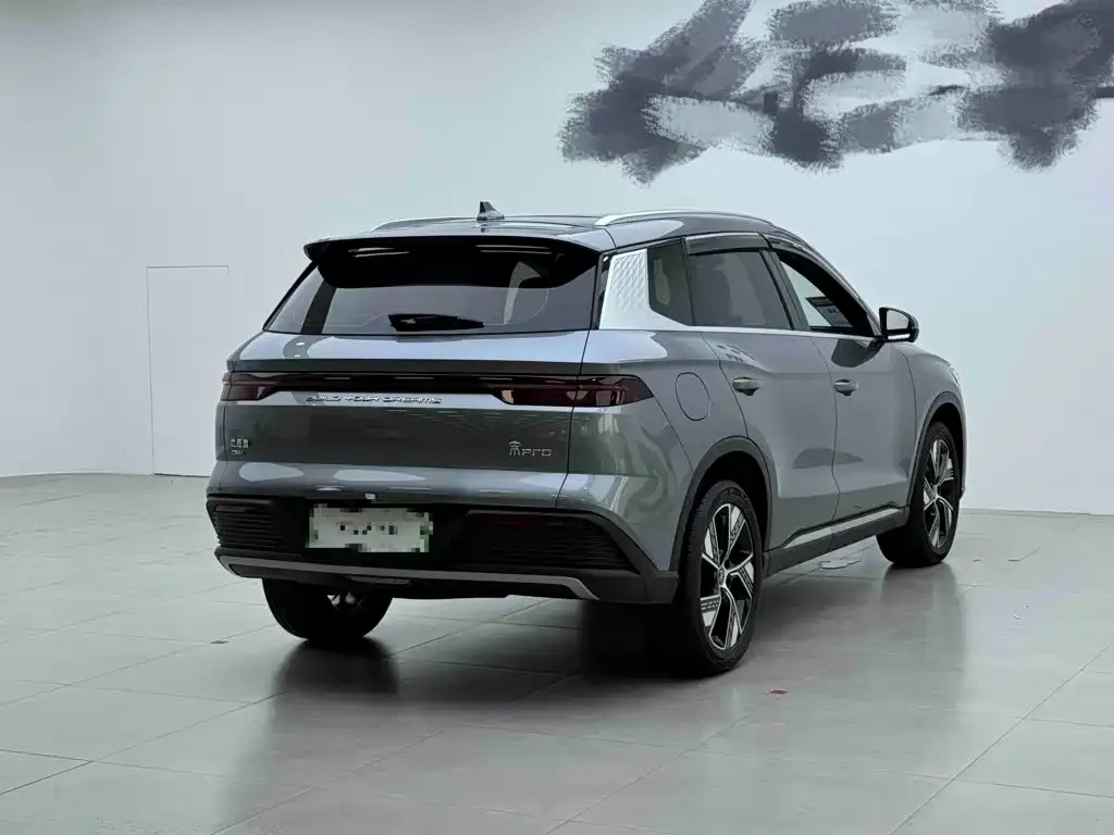 BYD Pro New Energy — фото 10