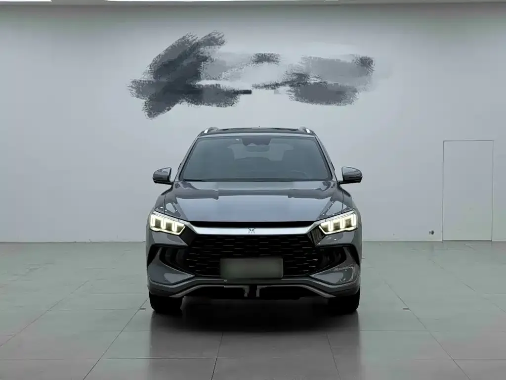 BYD Pro New Energy — фото 5