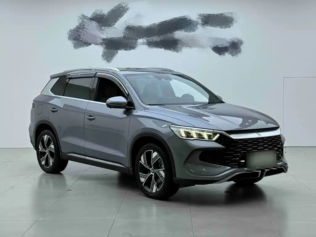BYD Pro New Energy — фото 8