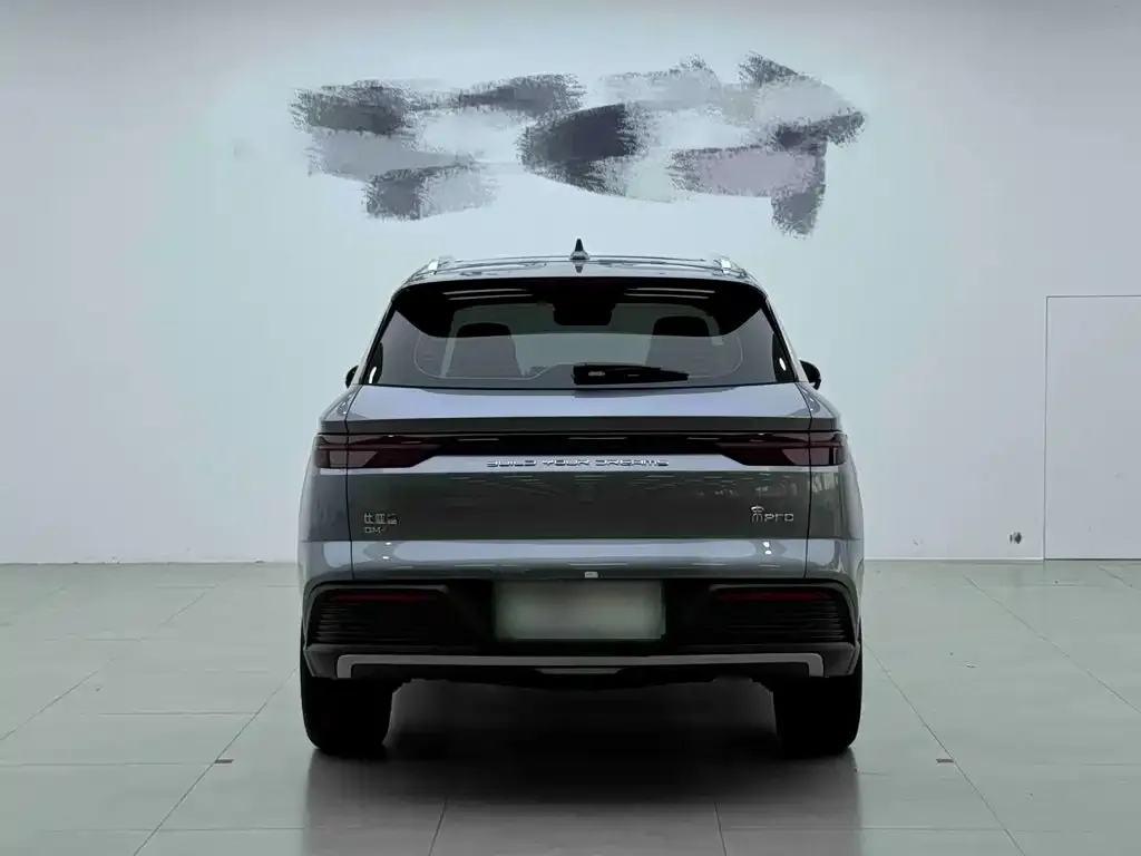BYD Pro New Energy — фото 2