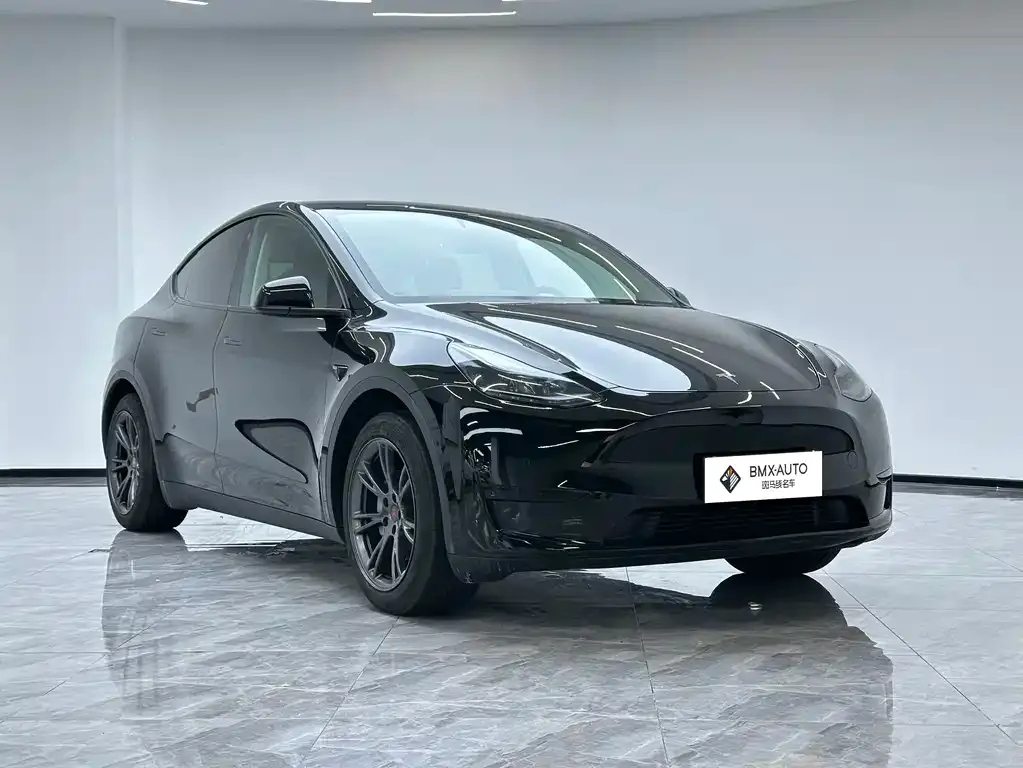 Tesla Model Y — фото 8
