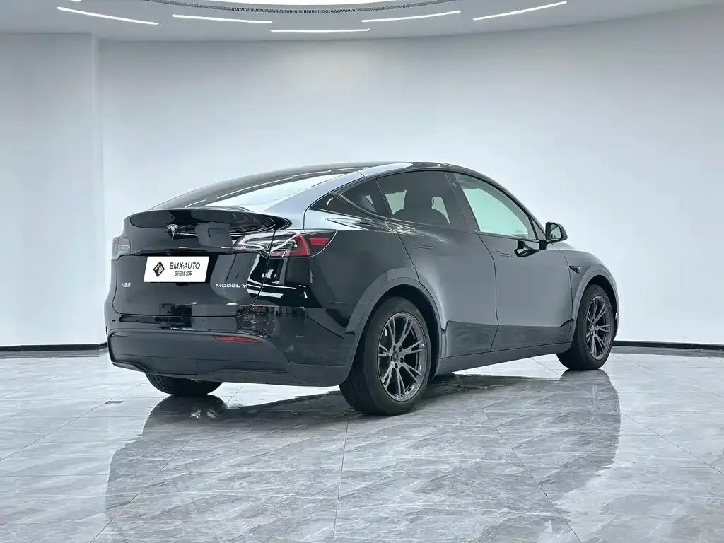 Tesla Model Y — фото 5