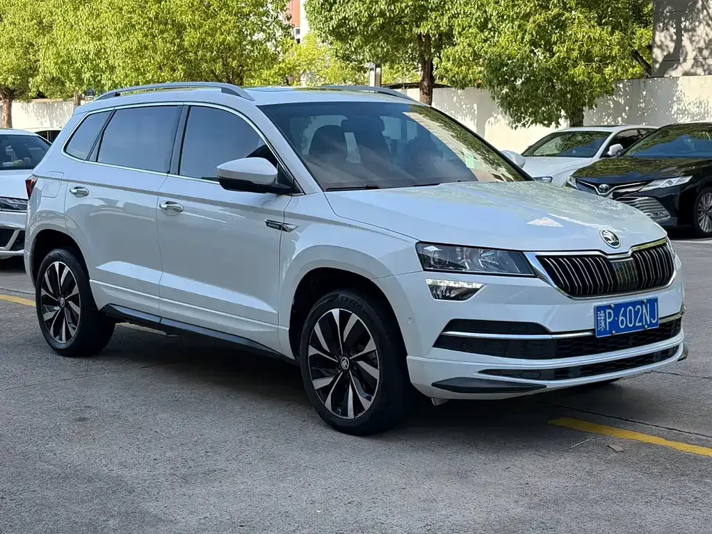 Skoda Karoq — фото 7