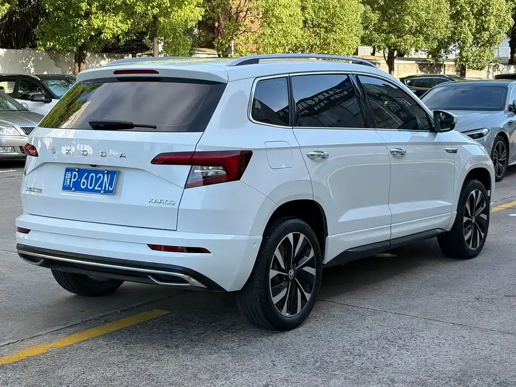 Skoda Karoq — фото 10