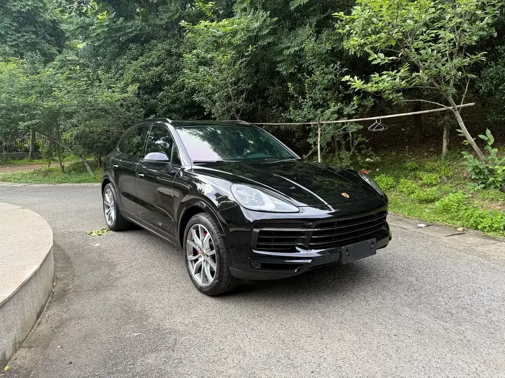 Porsche Cayenne — фото 9