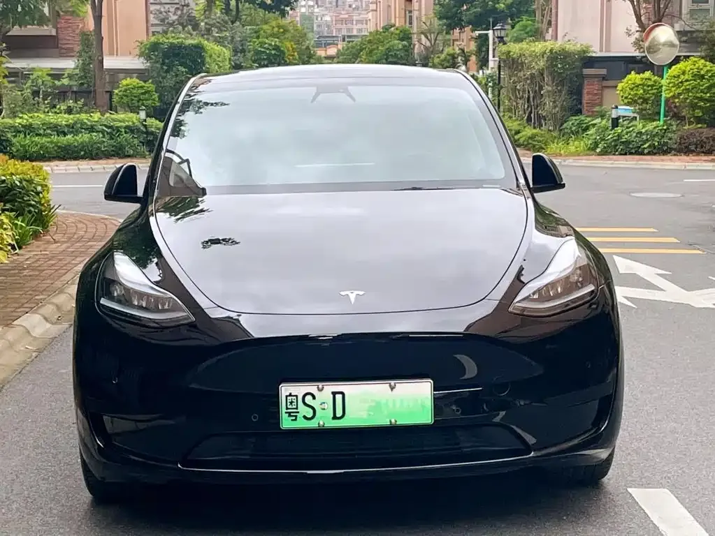 Tesla Model Y — фото 3