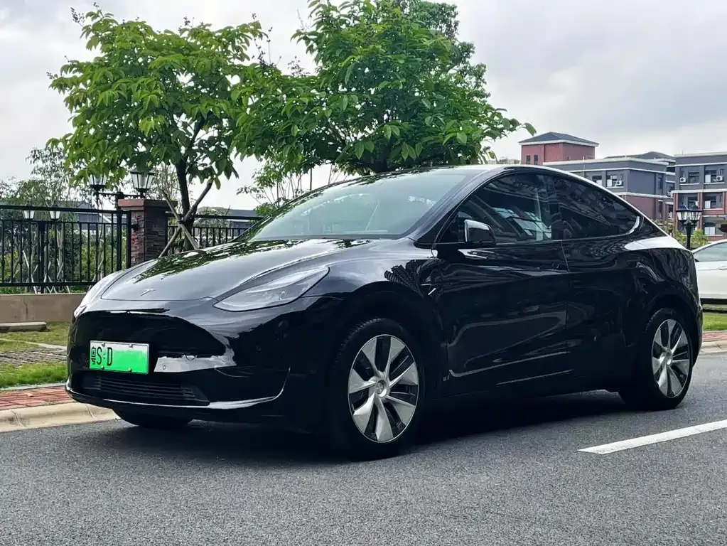 Tesla Model Y — фото 7