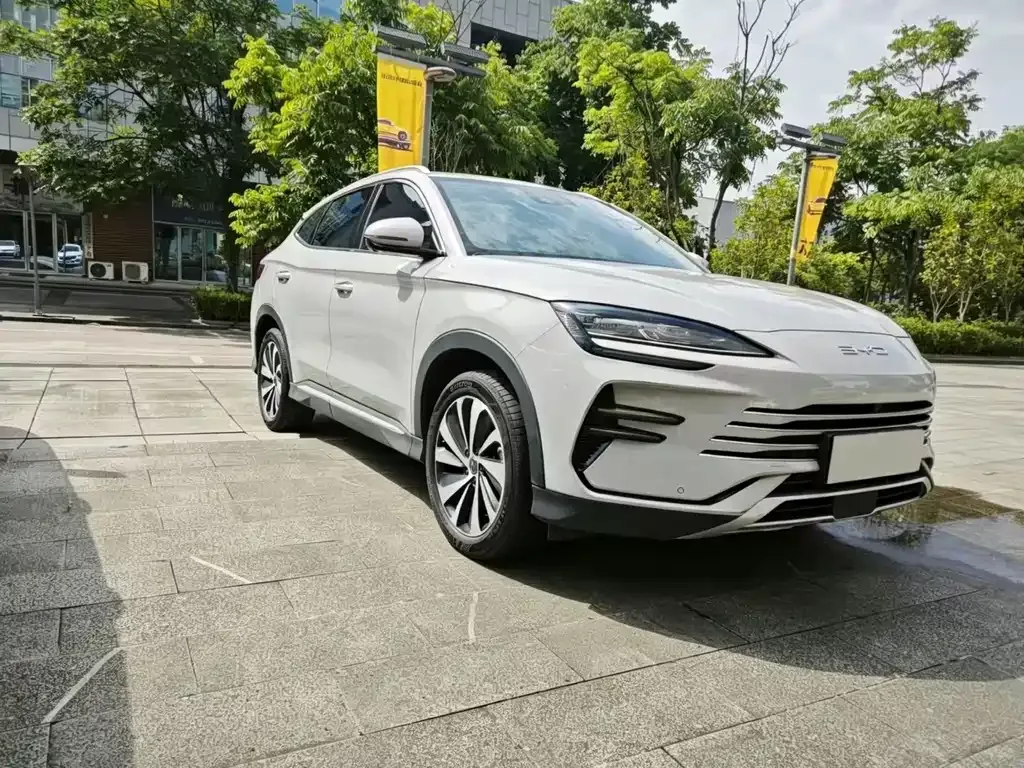 BYD PLUS New Energy — фото 7