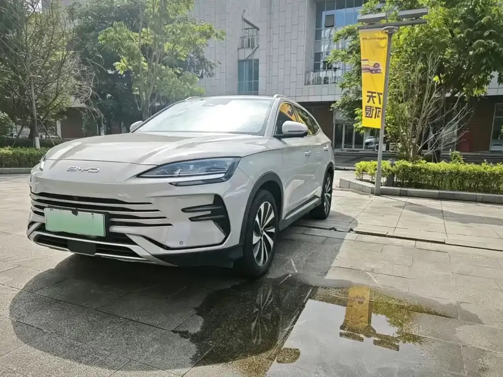 BYD PLUS New Energy — фото 6