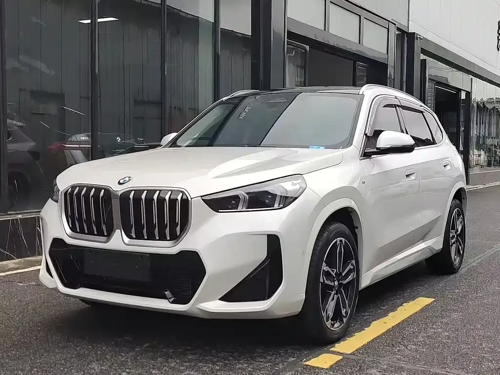 BMW X1 — фото 1