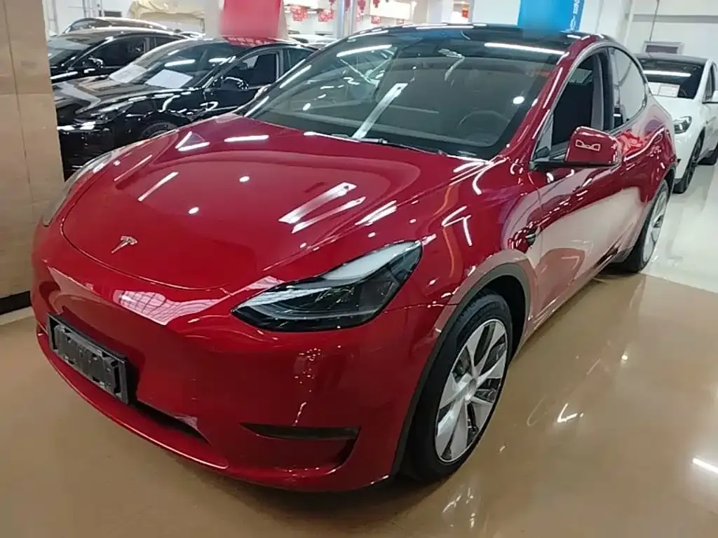 Tesla Model Y — фото 8