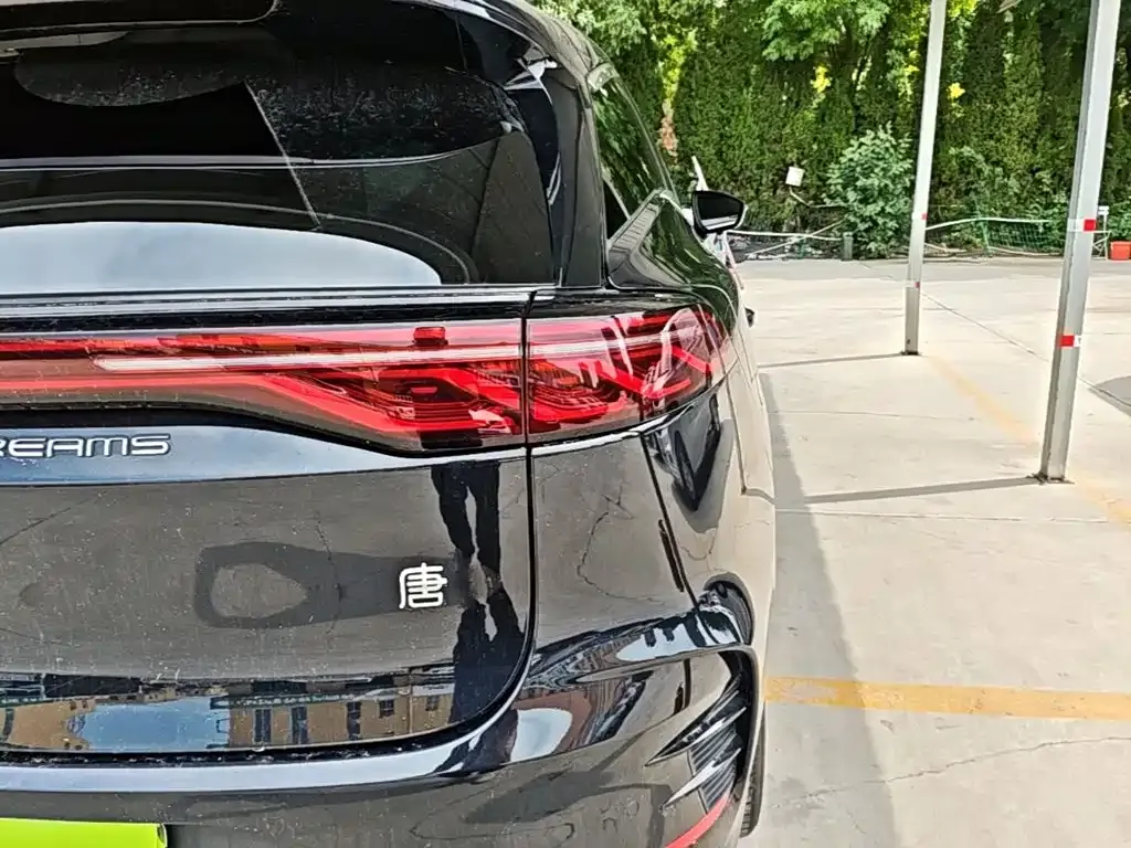 BYD Tang New Energy — фото 10