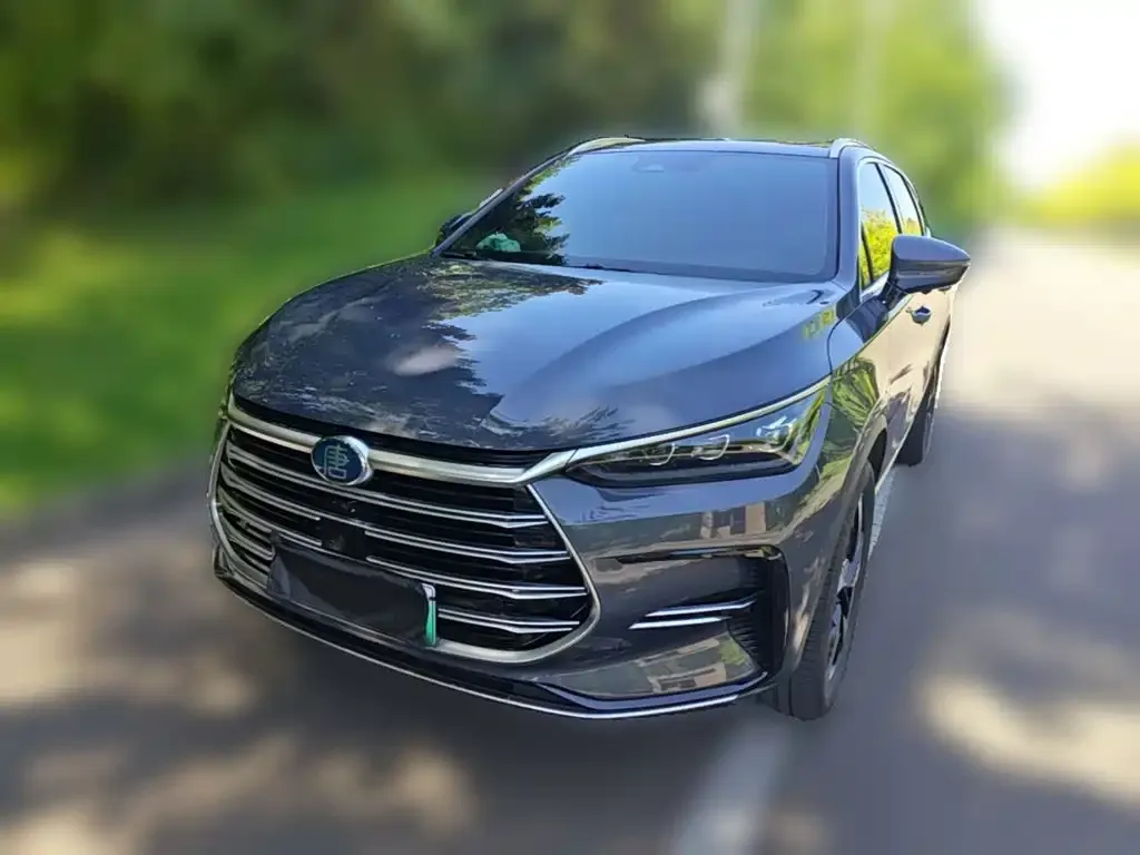 BYD Tang New Energy — фото 1