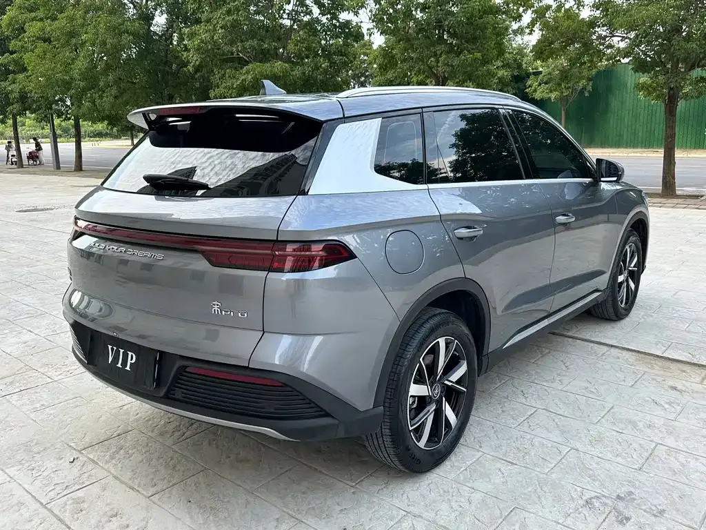 BYD Pro New Energy 2024 из CN, фото 8