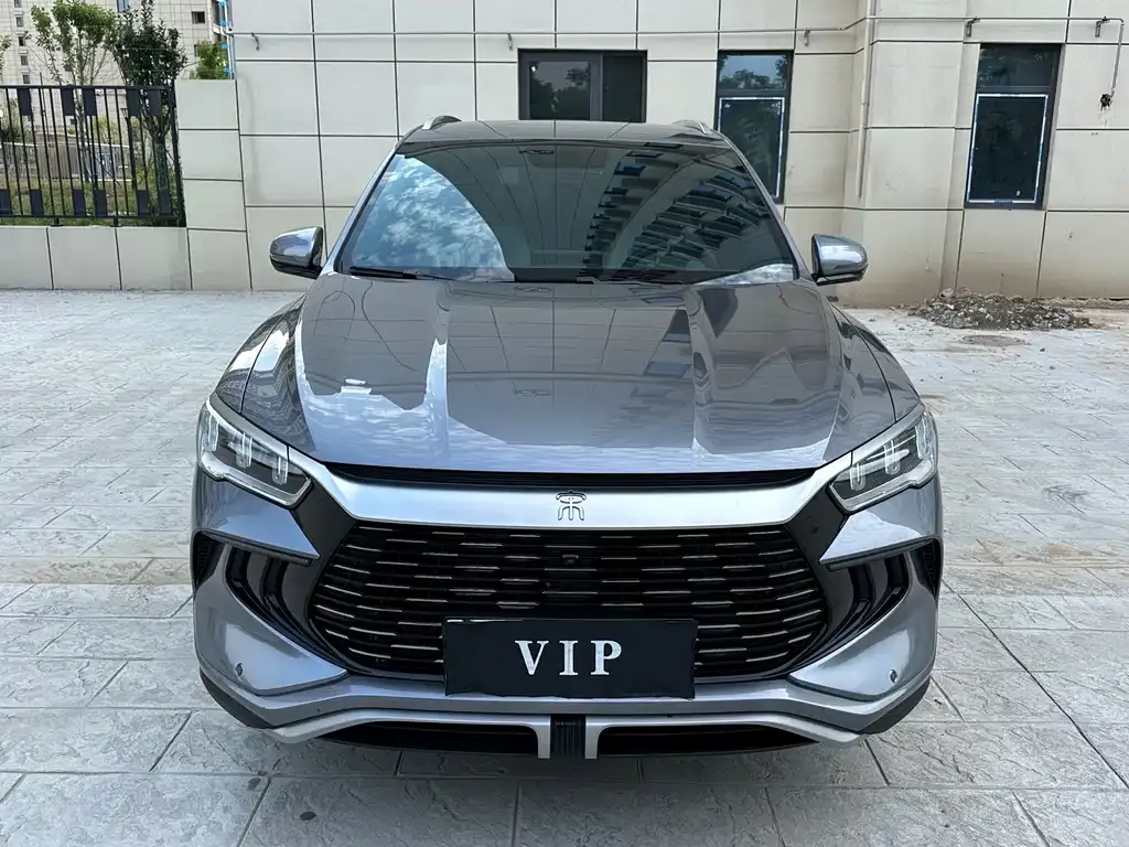 BYD Pro New Energy 2024 из CN, фото 4