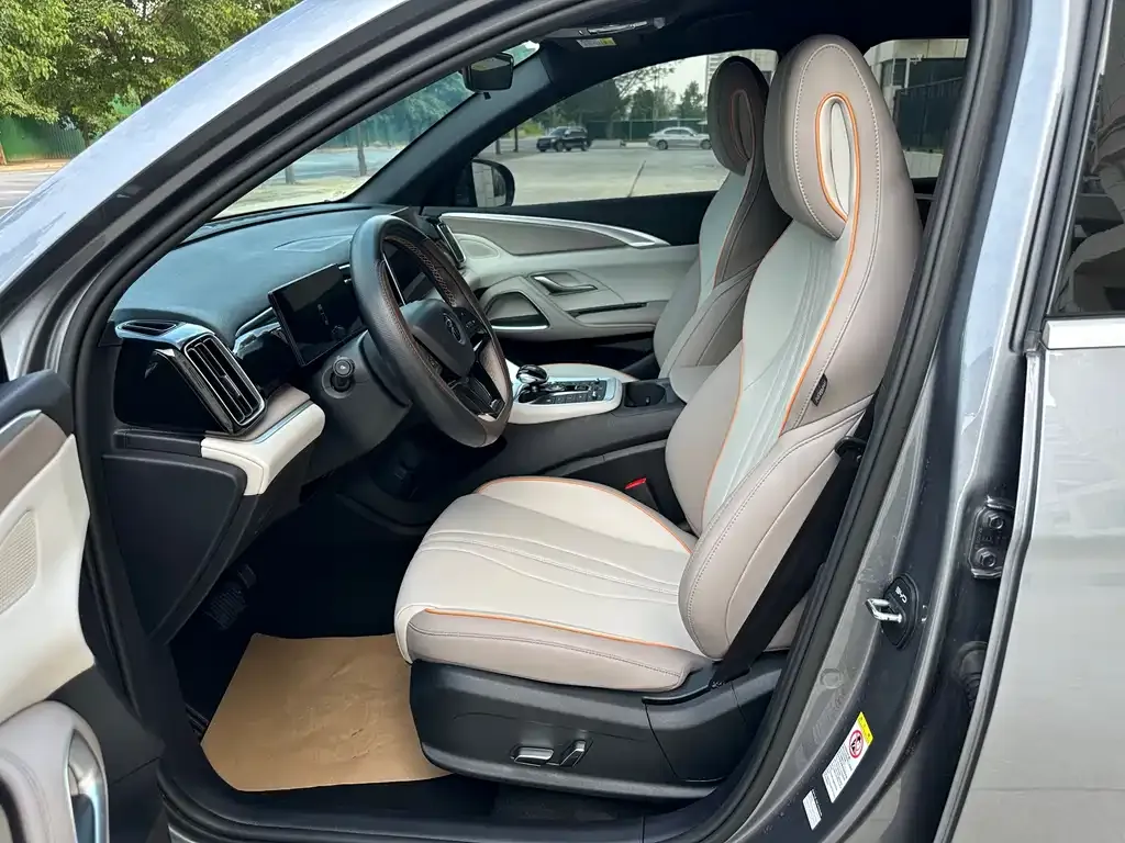 BYD Pro New Energy 2024 из CN, фото 10