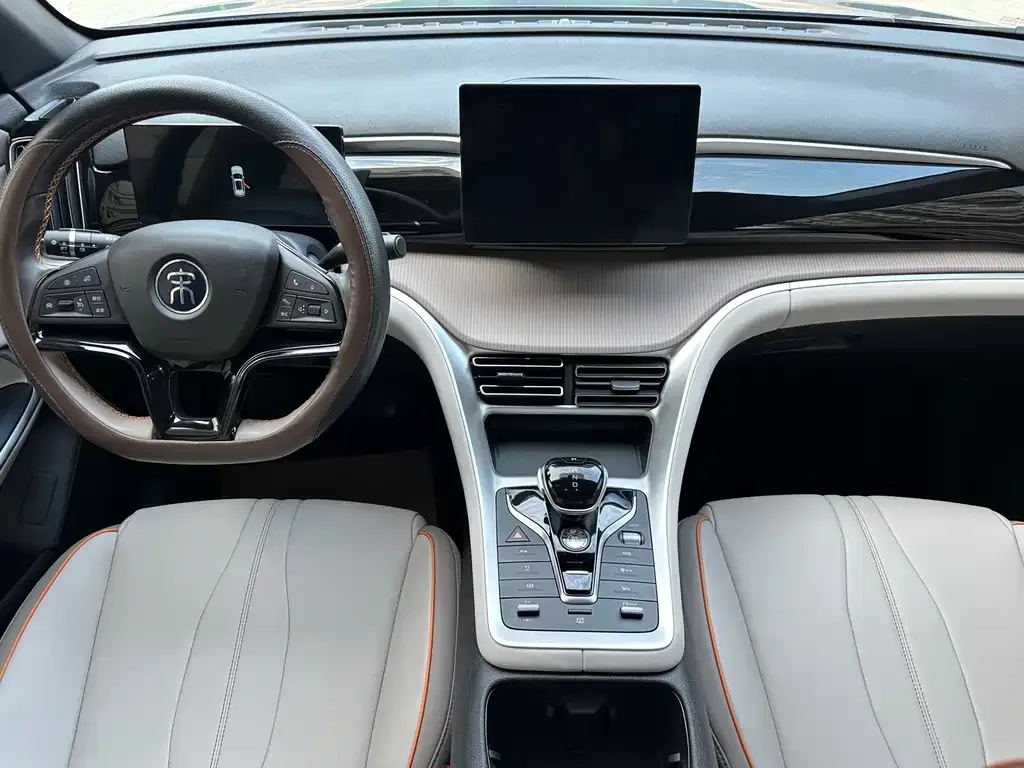BYD Pro New Energy 2024 из CN, фото 3