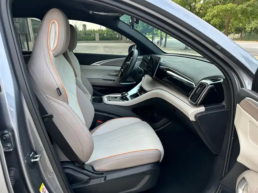 BYD Pro New Energy 2024 из CN, фото 2