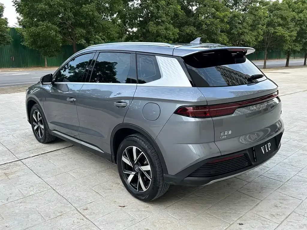 BYD Pro New Energy 2024 из CN, фото 7
